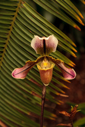 Similar image 13051542