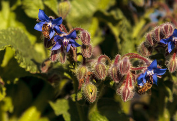 Similar image 13051624