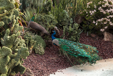 Similar image 13051087