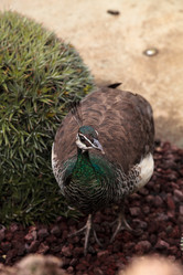 Similar image 13051122