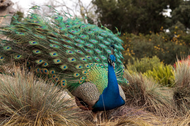 Similar image 13051394