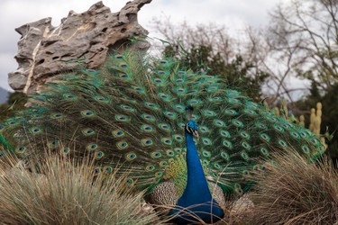 Similar image 13051395