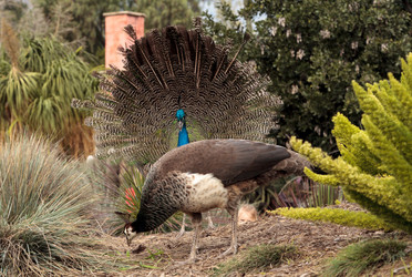 Similar image 13051397