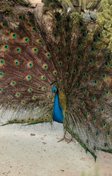 Similar image 13051421