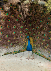 Similar image 13051422