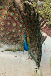 Similar image 13051423