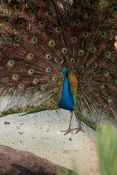 Similar image 13051425