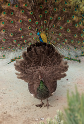 Similar image 13051145