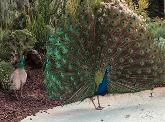 Similar image 13051146