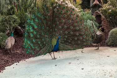 Similar image 13051147