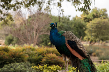 Similar image 13051466