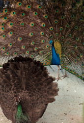 Similar image 13051467