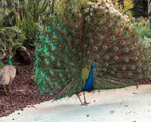 Similar image 13051468