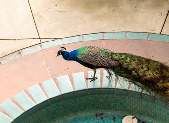 Similar image 13051166