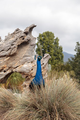 Similar image 13051167