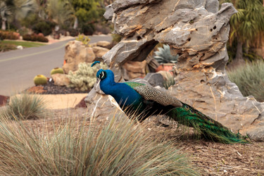 Similar image 13051169