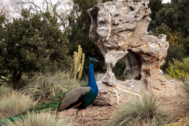 Similar image 13051170