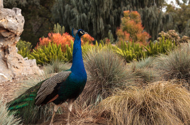 Similar image 13051189