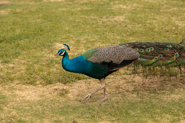 Similar image 13051191