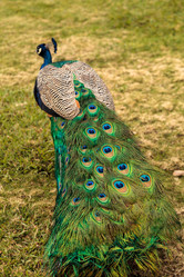 Similar image 13051192