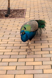 Similar image 13051193