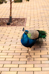 Similar image 13051505