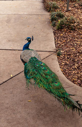 Similar image 13051507