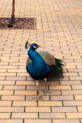 Similar image 13051508