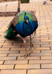 Similar image 13051525