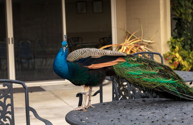 Similar image 13051203