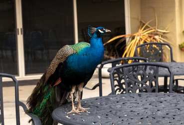 Similar image 13051204