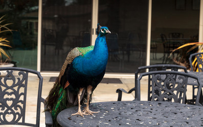 Similar image 13051205