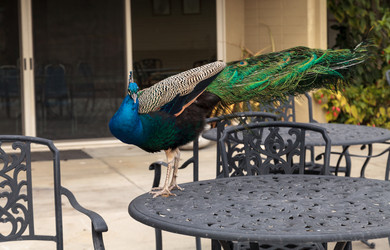 Similar image 13051206