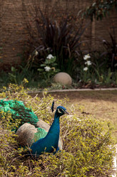 Similar image 13051578