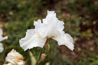 Similar image 13051233