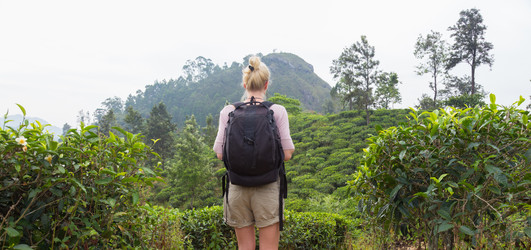 Similar image 13038227