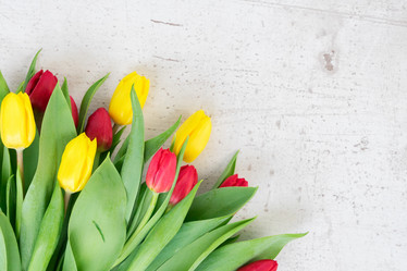 Similar image 13038457