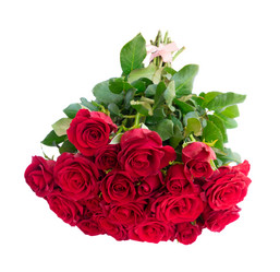 Similar image 13038492