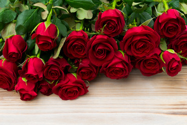 Similar image 13038493