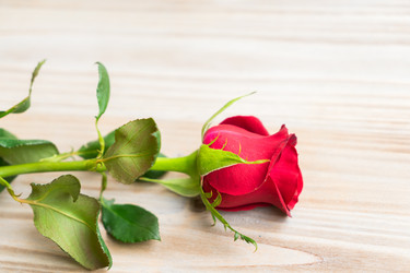 Similar image 13038717