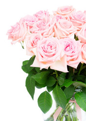 Similar image 13023673