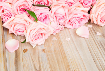 Similar image 13038774