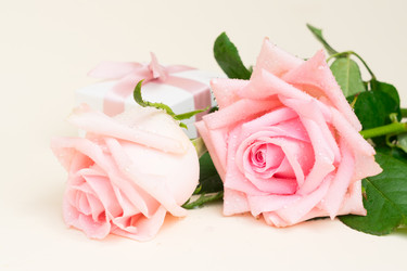 Similar image 13038400