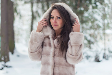 Similar image 13050517