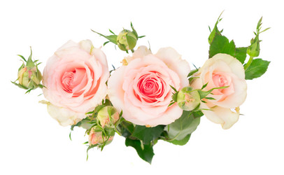 Similar image 13038736