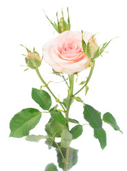 Similar image 13038737