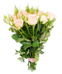 Similar image 13038776