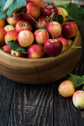 Similar image 13035221