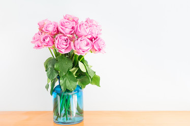 Similar image 13038600