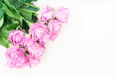 Similar image 13039195